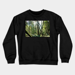 Golden hour in a green forest Crewneck Sweatshirt